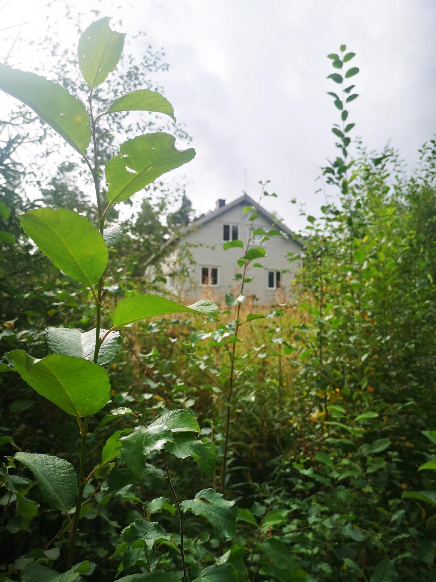 Villa Ka Stor Elvdal Koppang エクステリア 写真
