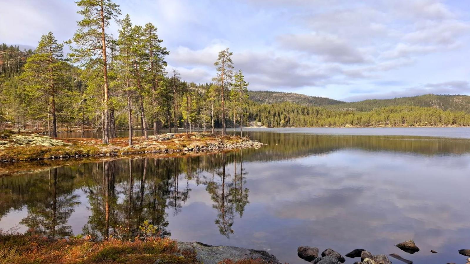 Villa Ka Stor Elvdal Koppang エクステリア 写真