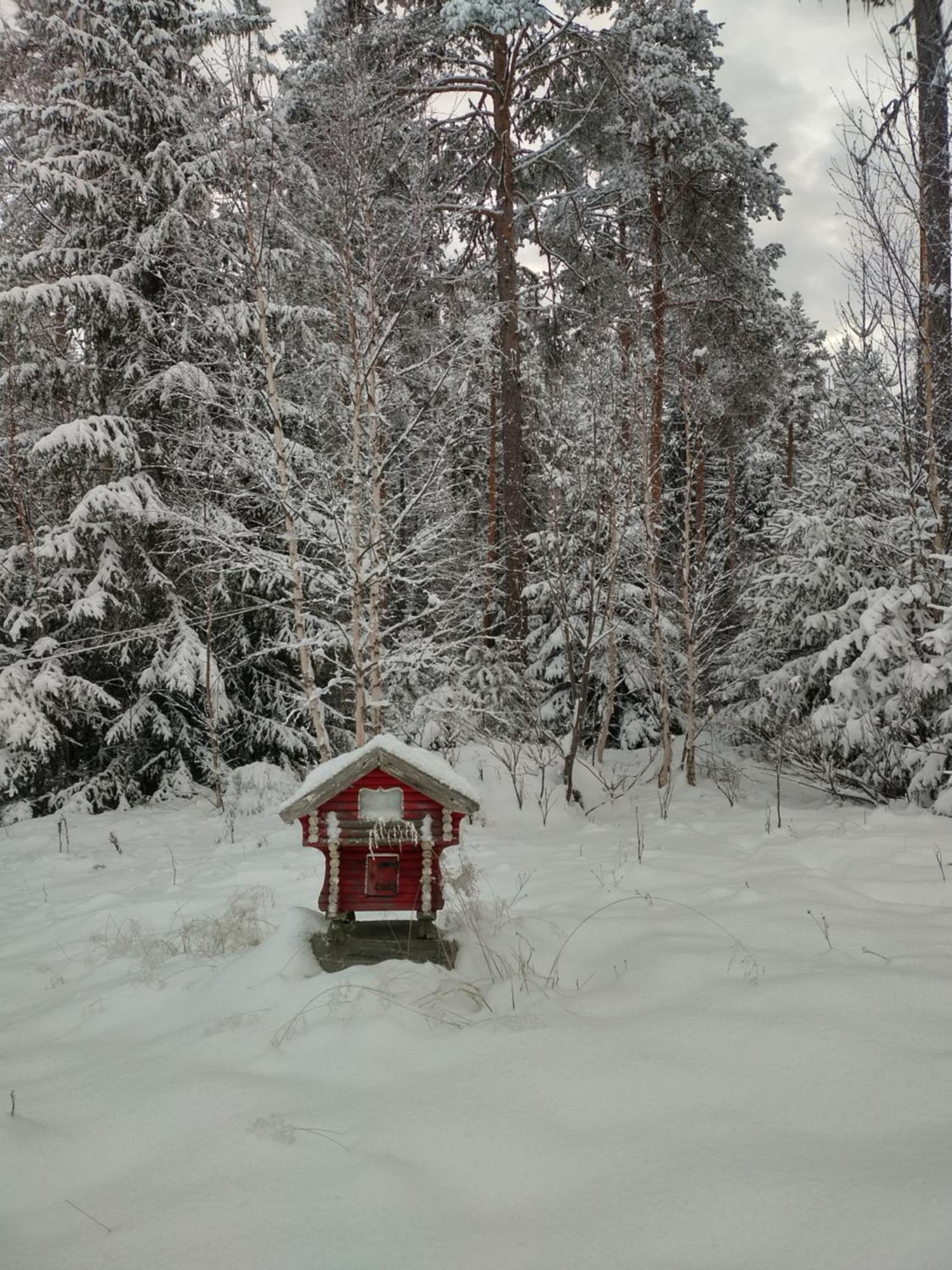 Villa Ka Stor Elvdal Koppang エクステリア 写真